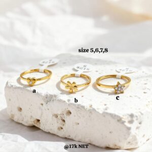 Cincin All Varian Titanium Stainless Steel