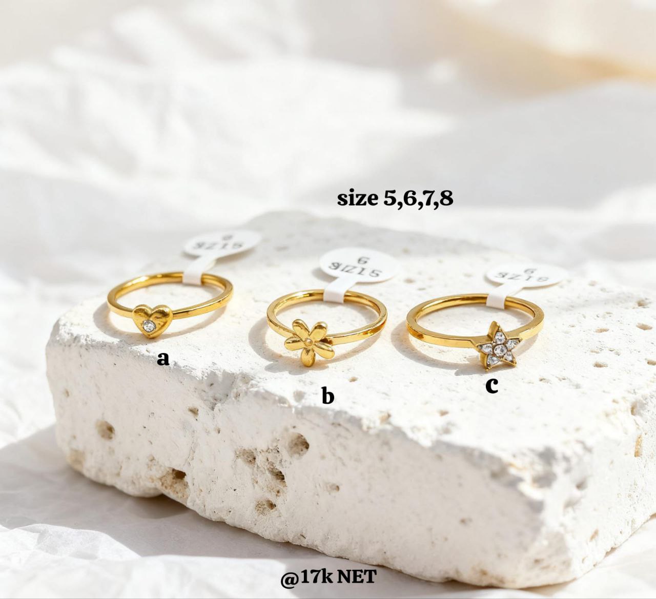 Cincin All Varian Titanium Stainless Steel